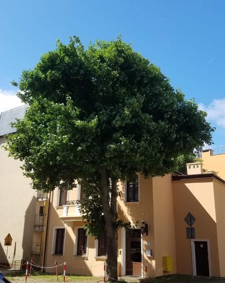 Apartamenty Na Cichej 5 A4 Kolobrzeg Dış mekan fotoğraf